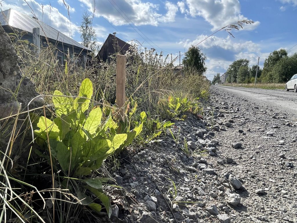 Вдоль улицы Короленко установлены столбики-метки. Фото: Анна Куприянова, "Глобус"