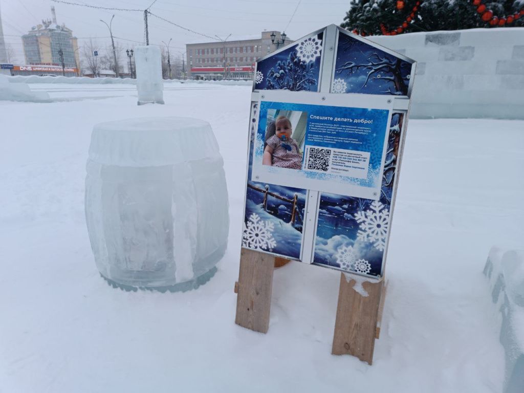 Ледяную благотворительную копилку для Милены Писаниной вскрыли 7 февраля. Фото: Мария Чекарова, "Глобус"