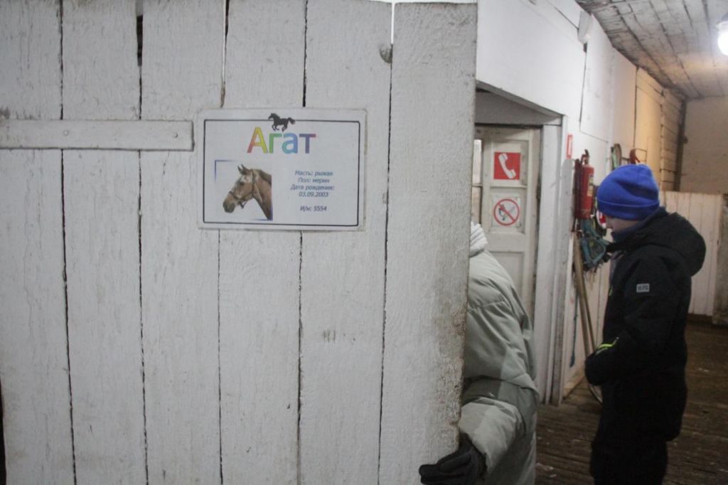 На воротах денников информация о каждом питомце. Фото: Константин Бобылев, "Глобус" На воротах денников информация о каждом питомце. Фото: Константин Бобылев, "Глобус"