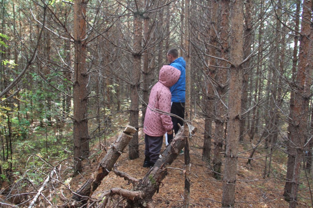 На участке Архиповых растут деревья. Фото: Анна Куприянова, "Глобус"