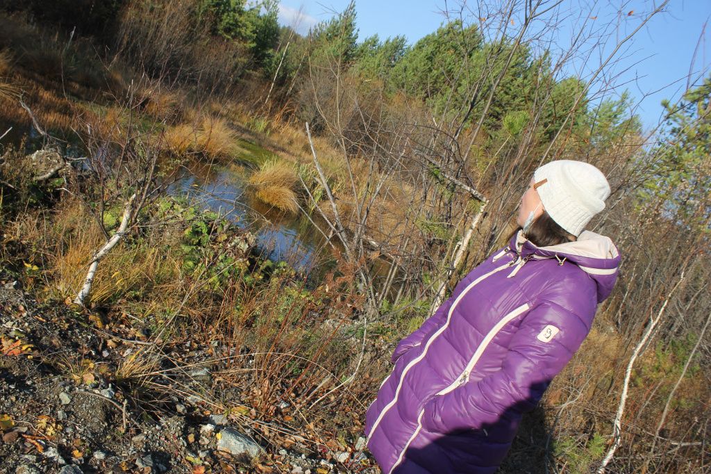 Альбина рассказывает, что во время поисков проверили все мелкие болота: "У нас больших топей нет, только мелкие. Мы их все палками поворошили". Фото: Мария Чекарова, "Глобус"
