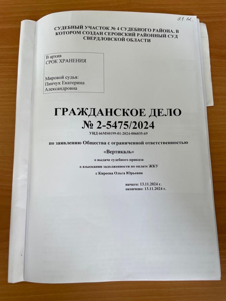 В документах суда Ольга Киреева неоднократно называется должником, хотя таковым не является. Фото: Дмитрий Киреев