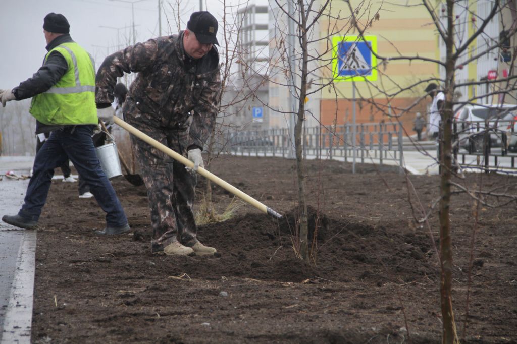 В посадке яблонь приняли участие глава Серовского городского округа Василий Сизиков и волонтеры «Молодой гвардии». Фото: Константин Бобылев, «Глобус»
