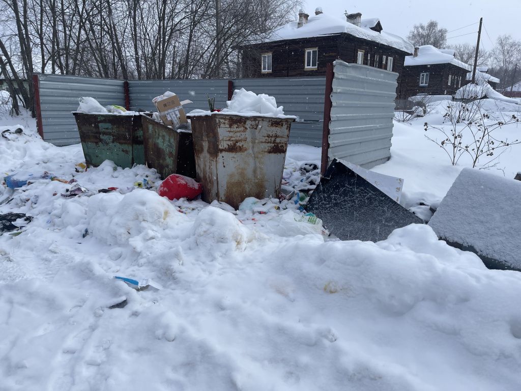 Из-за постоянной свалки на контейнерной площадке жители соседнего дома обратились в Роспотребнадзор. Фото: Анна Куприянова, "Глобус"