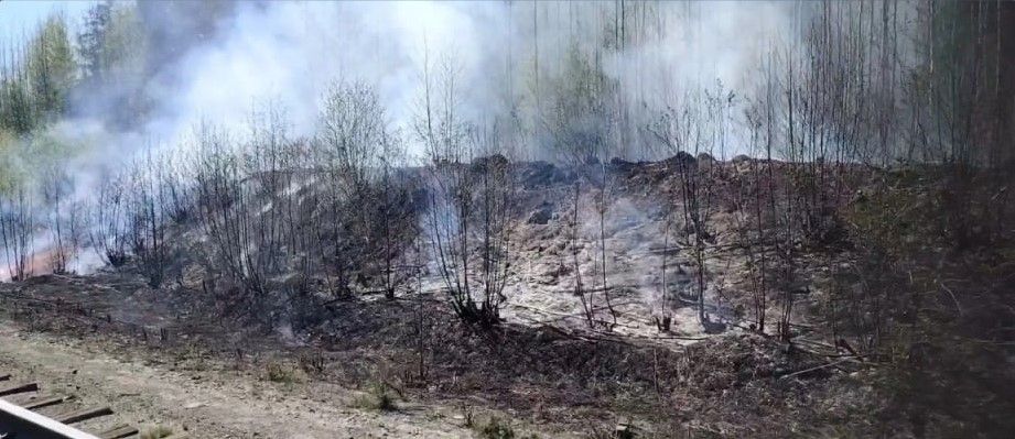Лесной пожар под Серовом потушили в этот же день. Фото: Михаил Киселев