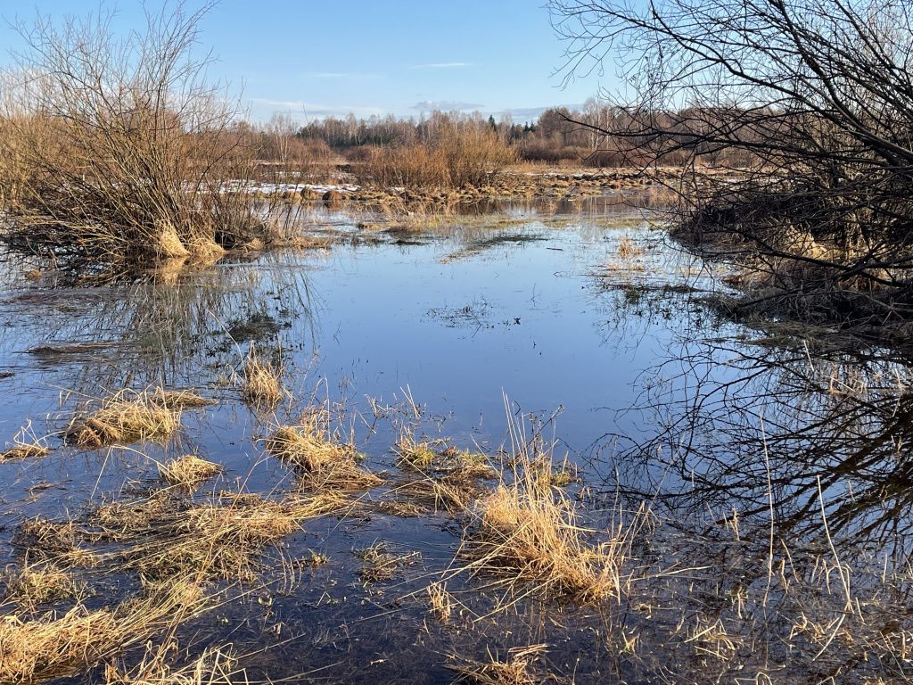 Вешние воды пришли в поселок с полей. Фото: Анна Куприянова, "Глобус"