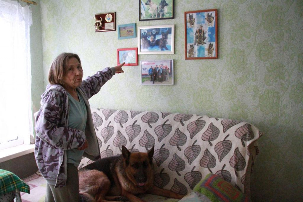 Стены в домике увешаны фотографиями. Лидия Михайловна без труда называет запечатленных на них собак и людей. Собак на фото больше. Фото: Константин Бобылев, "Глобус"