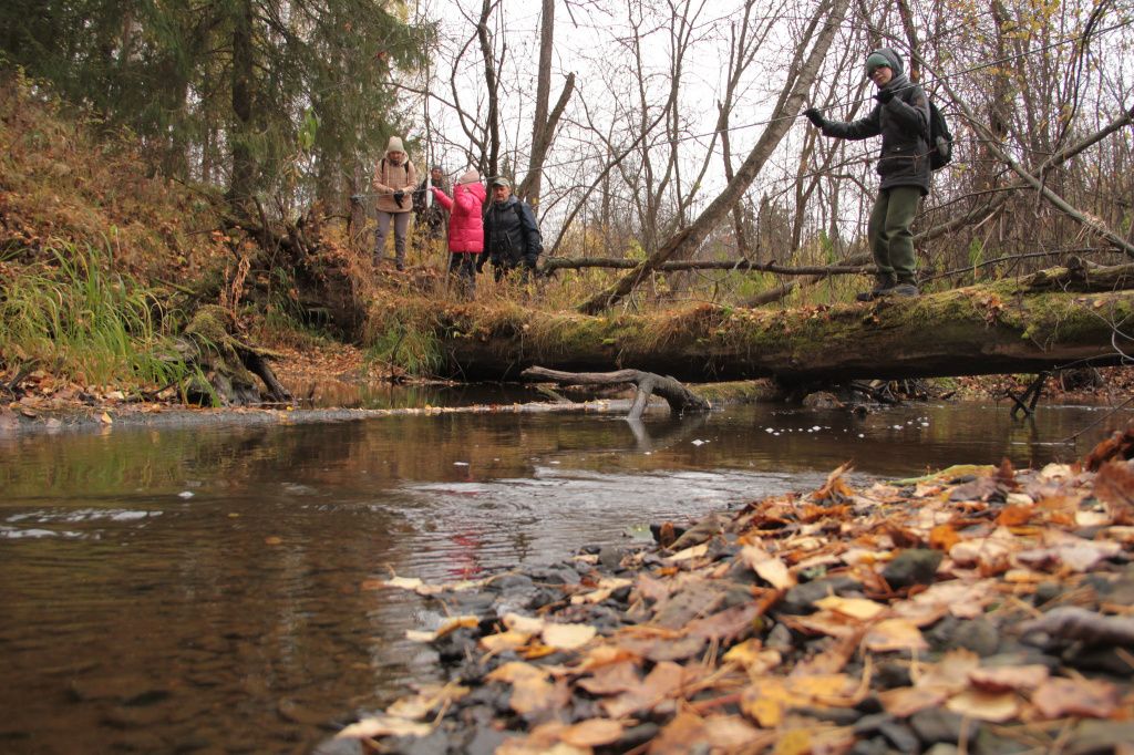 Первая переправа через Замарайку. Переходили по замшелому стволу дерева. Фото: Константин Бобылев, "Глобус"
