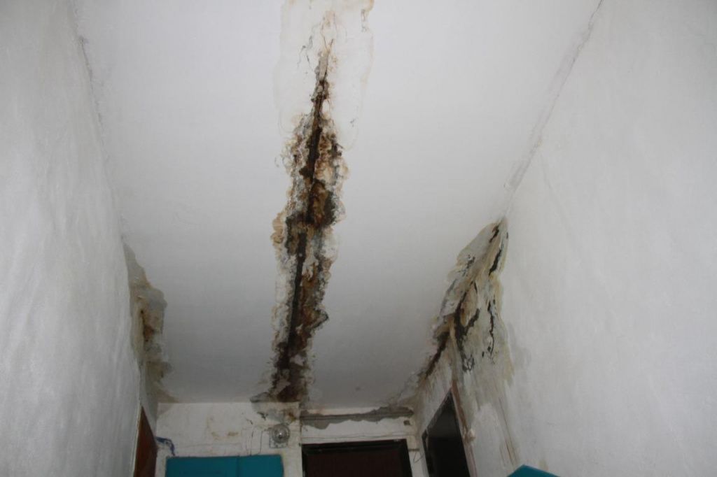 Потолок во втором подъезде дома почернел после многолетних протечек. Фото: Константин Бобылев, "Глобус"