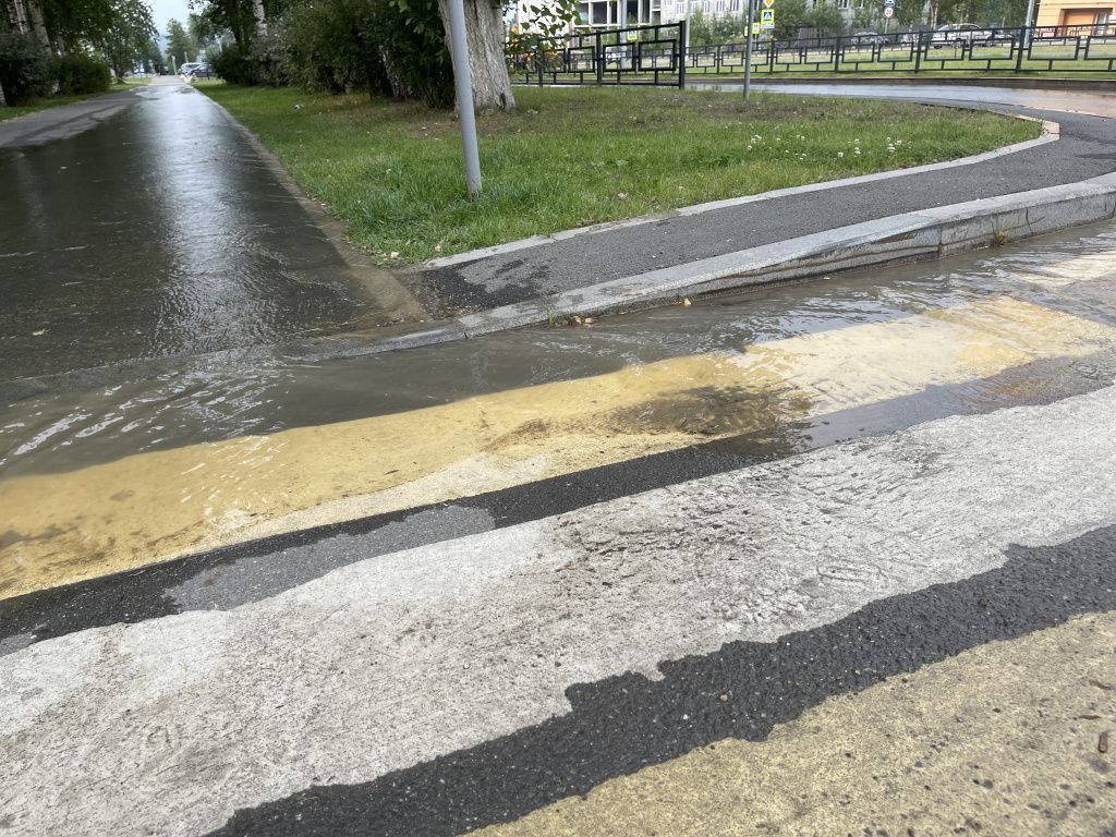 Вода ручьем уходила в сторону улицы Парковой. Фото: Анна Куприянова, "Глобус"