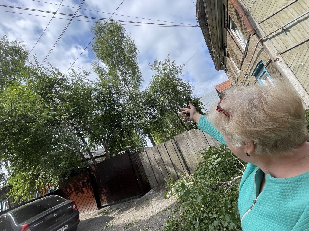 Горожанка переживает, что, несмотря на огласку, дерево все же спилят. Фото: Анна Куприянова, "Глобус" Горожанка переживает, что, несмотря на огласку, дерево все же спилят. Фото: Анна Куприянова, "Глобус"