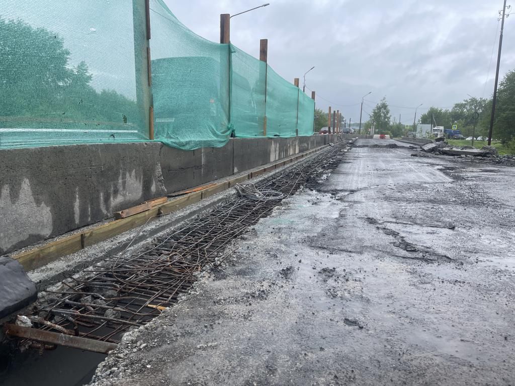 В середине моста тянется сетка. Фото: Анна Куприянова, "Глобус"