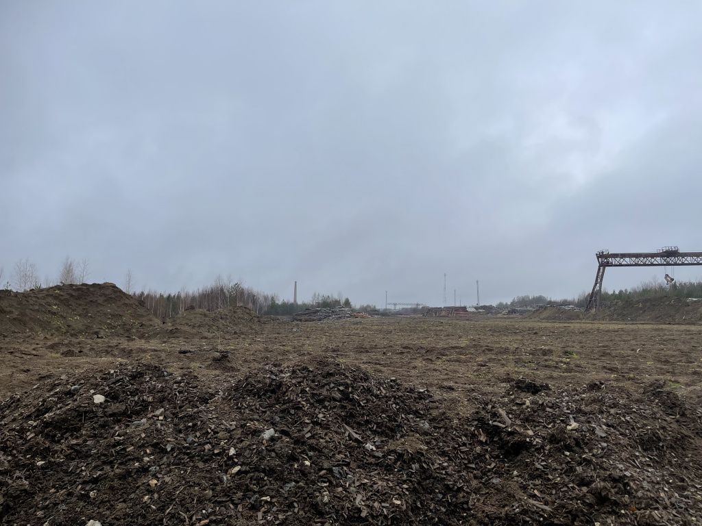 Под свалку опила отвели новую территорию. Фото: Анна Куприянова, "Глобус"