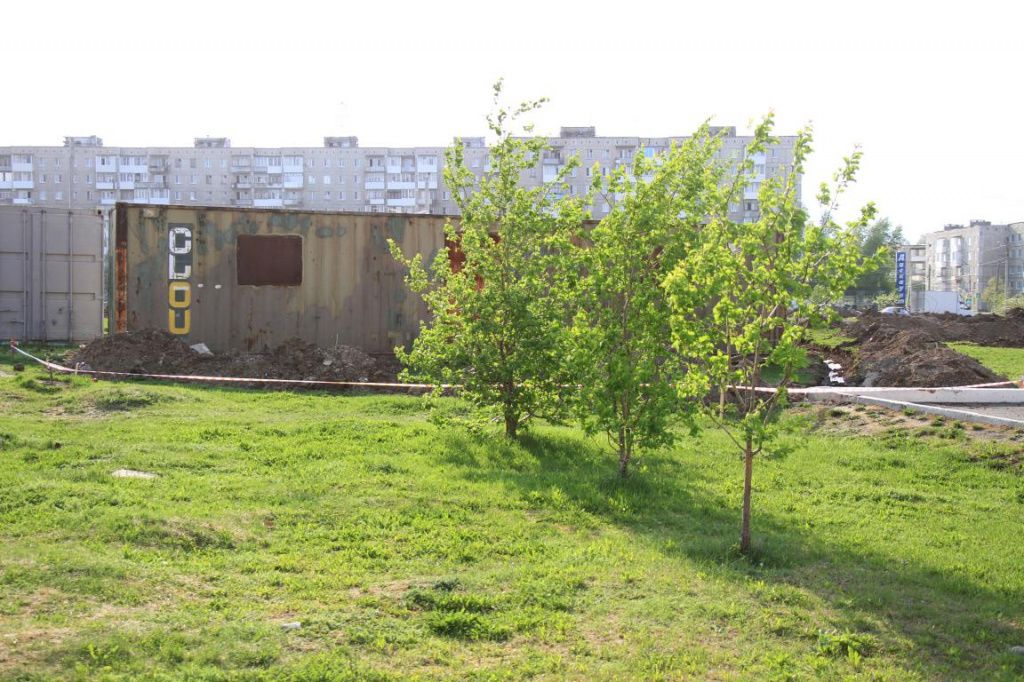 Эти три яблони, по словам Ольги Орловой, в свое время посадили молодожены. Фото: Константин Бобылев, "Глобус"