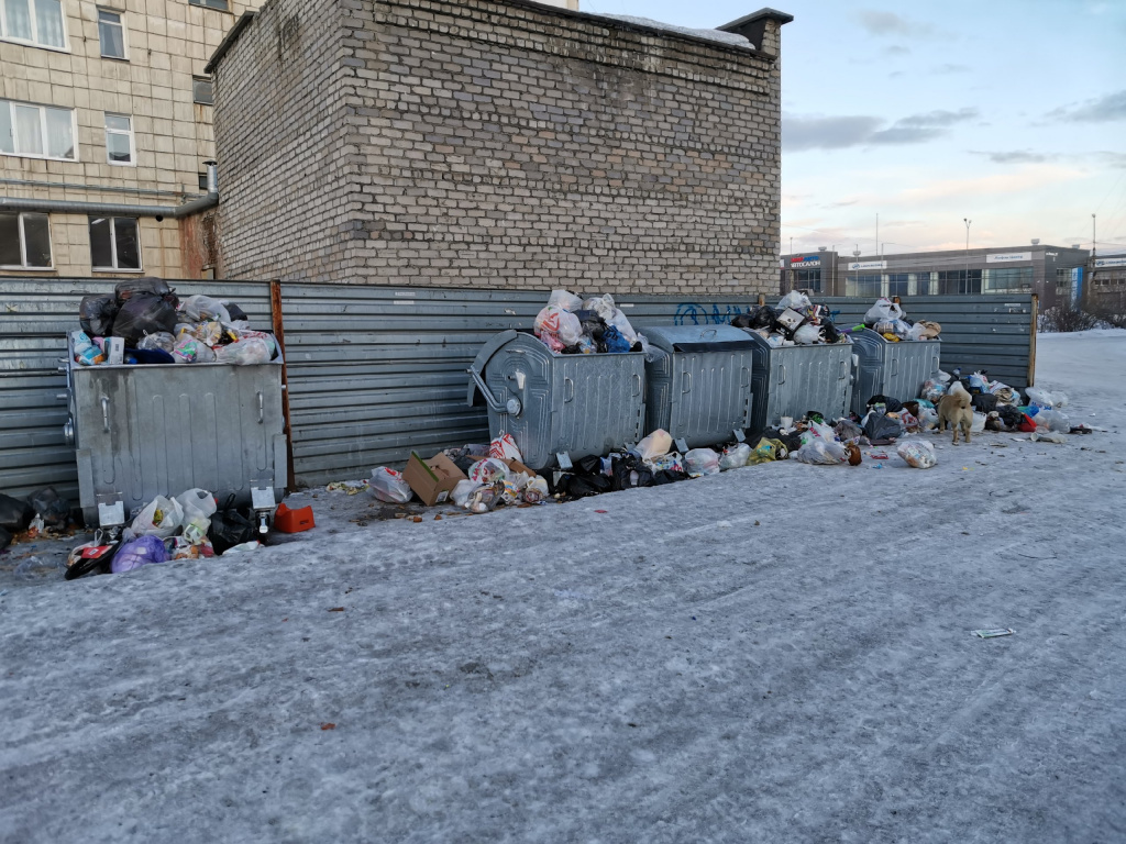 Мусорные контейнеры рядом с домом №234 по улице Ленина. Фото: Константин Бобылев, "Глобус"