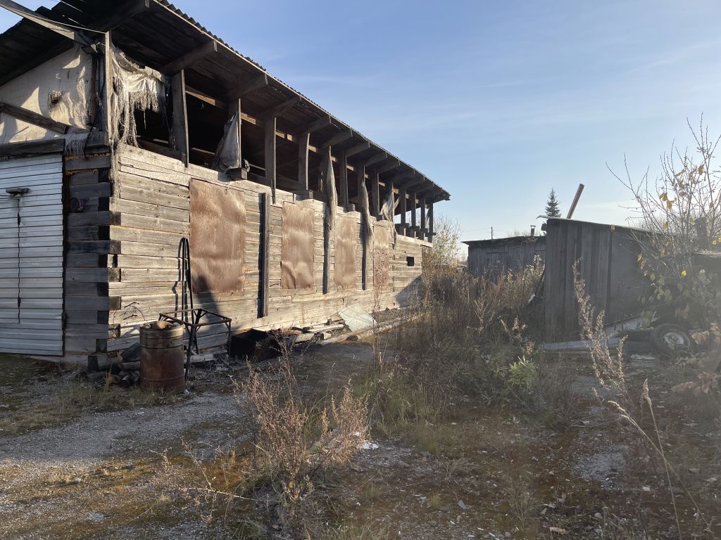 Общий туалет стоял во дворе барака. Фото: Анна Куприянова, "Глобус"