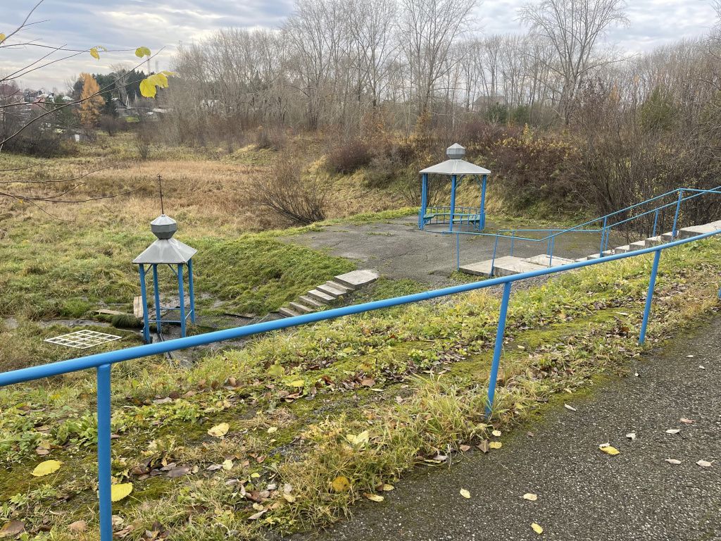 Родник на улице Пушкинской. Фото: Анна Куприянова, "Глобус"