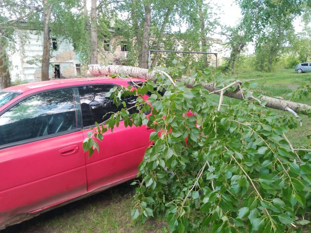 Фото: Николай Замиралов
