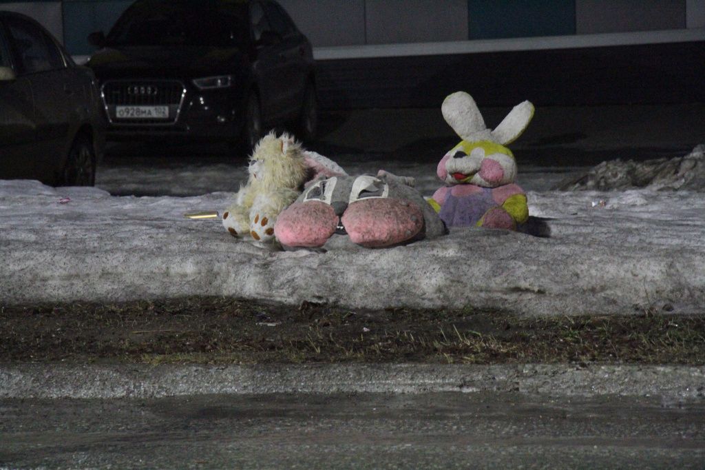 На обочине дороги, где погиб мальчик, возник стихийный мемориал. Игрушки и по прошествии нескольких месяцев остаются напоминанием о трагедии. Фото: Константин Бобылев, "Глобус"
