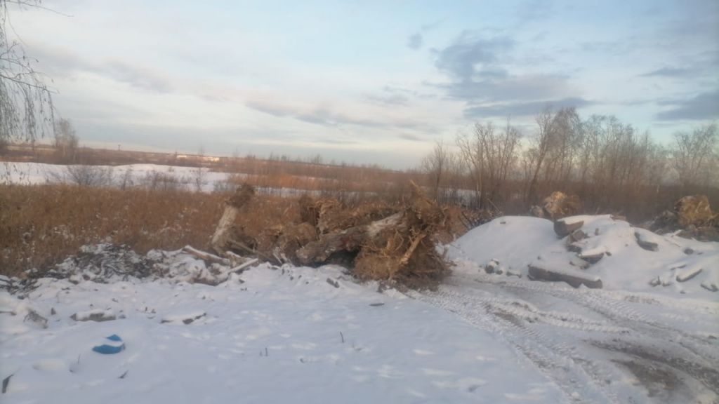 Фото предоставлено читателями "Глобуса"