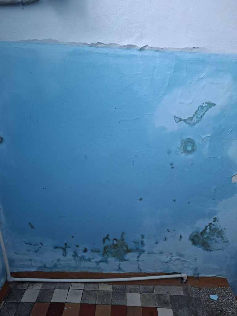 Из-за коммунальной аварии мокнут стены в подъезде между вторым и первым этажами. Фото: Галина Конева 