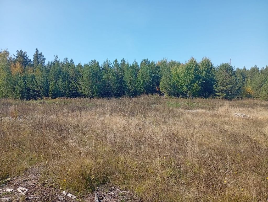 Семье Натальи Павленко выделили участок в этом месте и люди не могу понять - где проходит граница. Фото предоставила Наталья Павленко Семье Натальи Павленко выделили участок в этом месте и люди не могу понять - где проходит граница. Фото предоставила Наталья Павленко