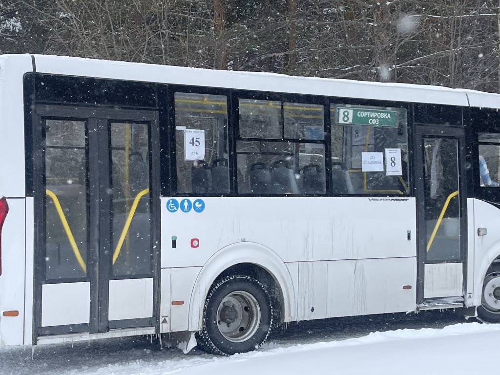 Между городом и кладбищем курсировали автобусы. Фото: Анна Куприянова, "Глобус"