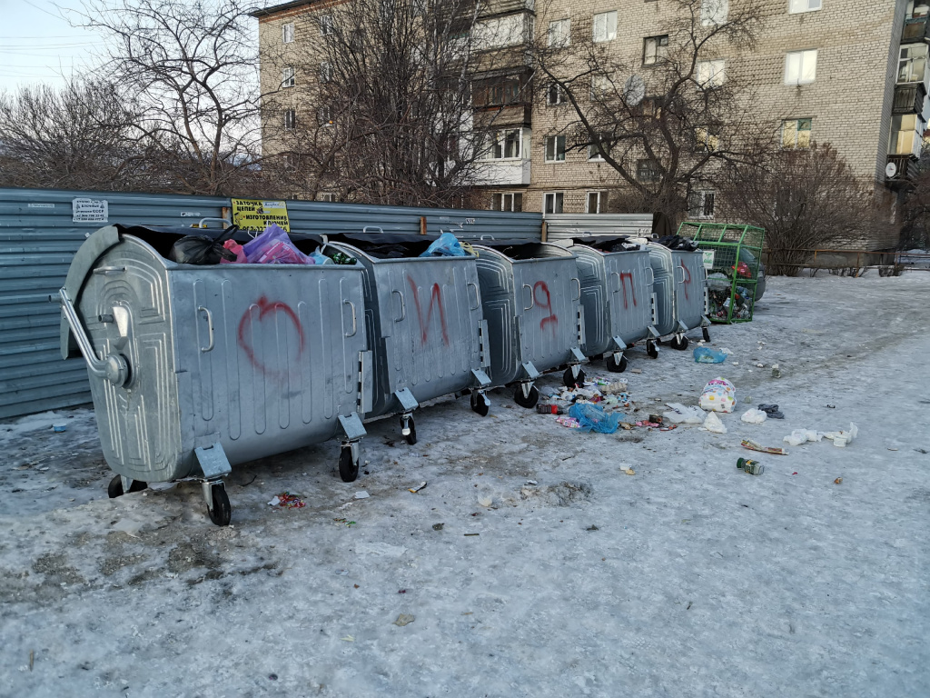Контейнеры возле дома №156 по улице Ленина. Фото: Константин Бобылев, "Глобус"