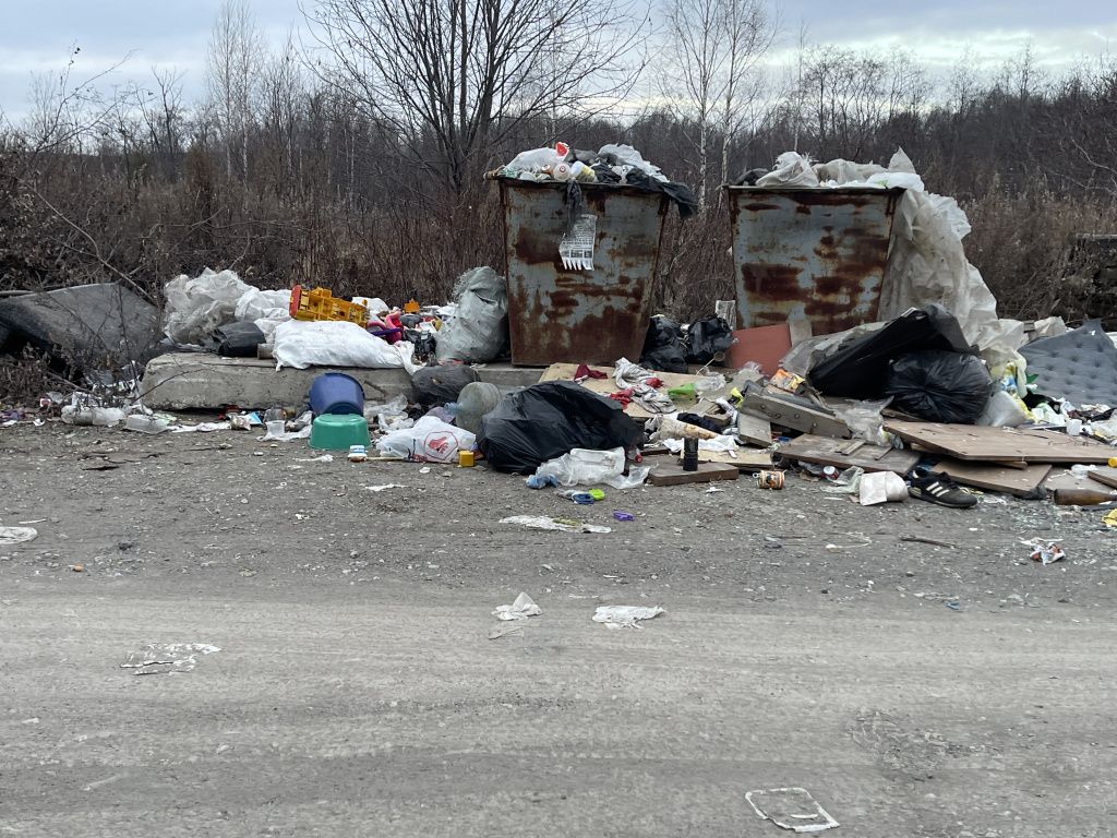 Виталий Токарев говорит, что мусор валят только садоводы. Фото: Анна Куприянова, "Глобус" Виталий Токарев говорит, что мусор валят только садоводы. Фото: Анна Куприянова, "Глобус"