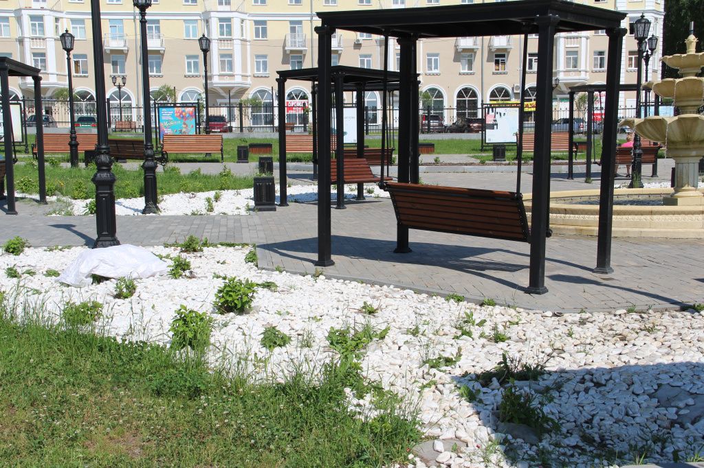 Сквозь декоративные камни растет сорная трава. Фото: Анна Куприянова, "Глобус"