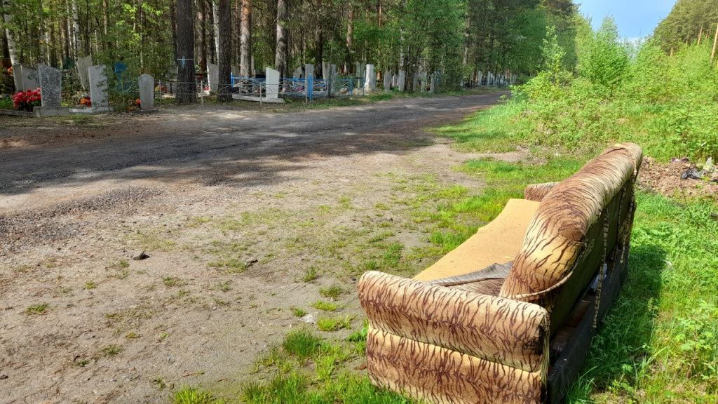 Такой «тигровый» диван стоял на полянке у края кладбища 3 июня. Его убрали. Фото: Андрей Гребенкин, «Глобус» Такой «тигровый» диван стоял на полянке у края кладбища 3 июня. Его убрали. Фото: Андрей Гребенкин, «Глобус»
