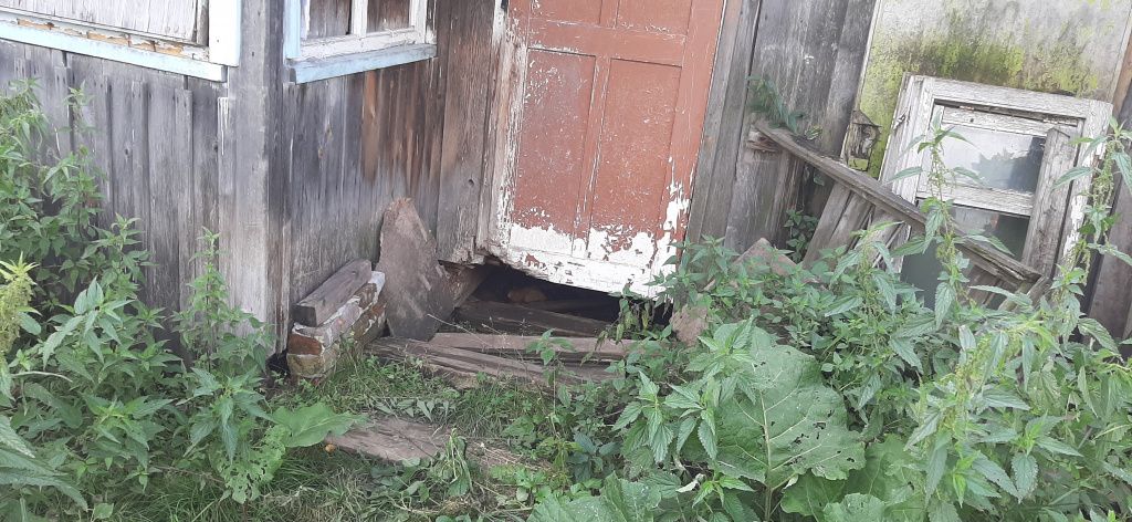 В доме Валентины Столбовой есть нежилая квартиры. Подней родила деветярых щенят собака по кличке Белка. Фото: Мария Чекарова, "Глобус"