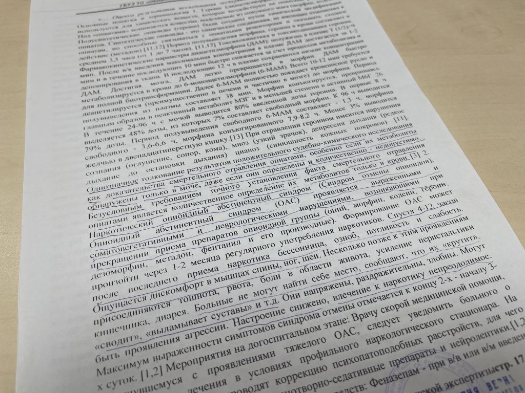 Для пересмотра дела Александра Першина было проведено три экспертизы. Эксперты делали заключение на основании документов. Фото: Анна Куприянова, "Глобус"