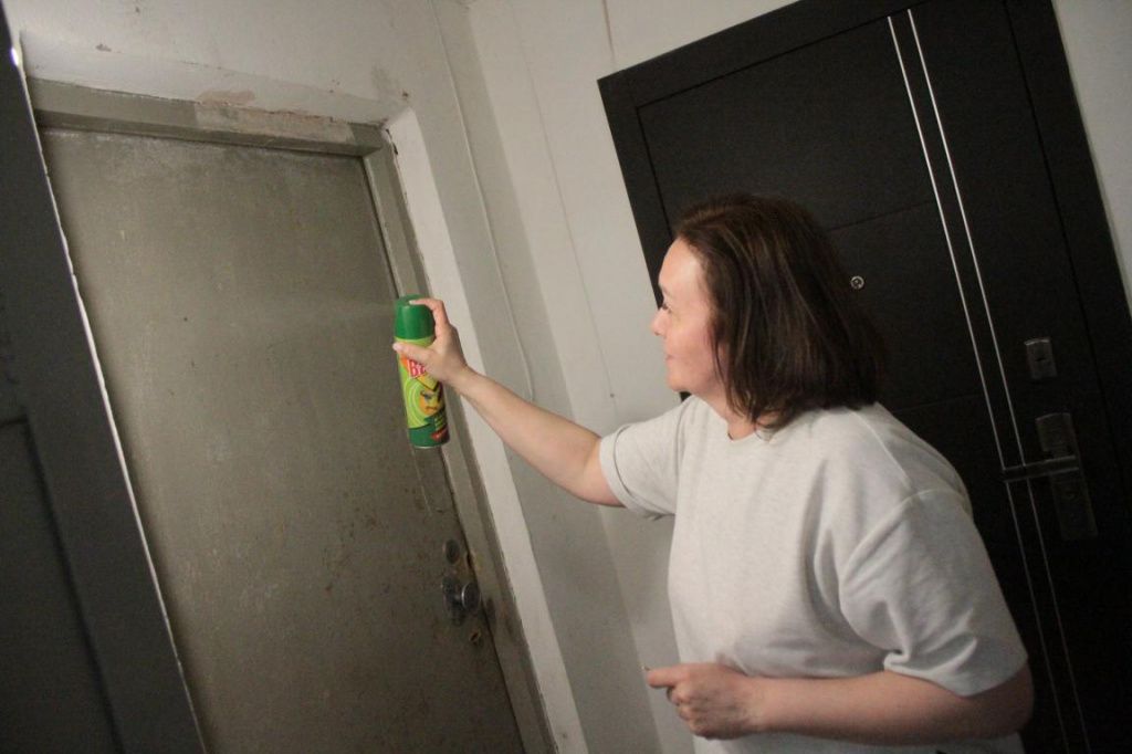 Наталье Целовой приходится обрабатывать дверь соседки и лестничную клетку дихлофосом. Фото: Константин Бобылев, "Глобус"