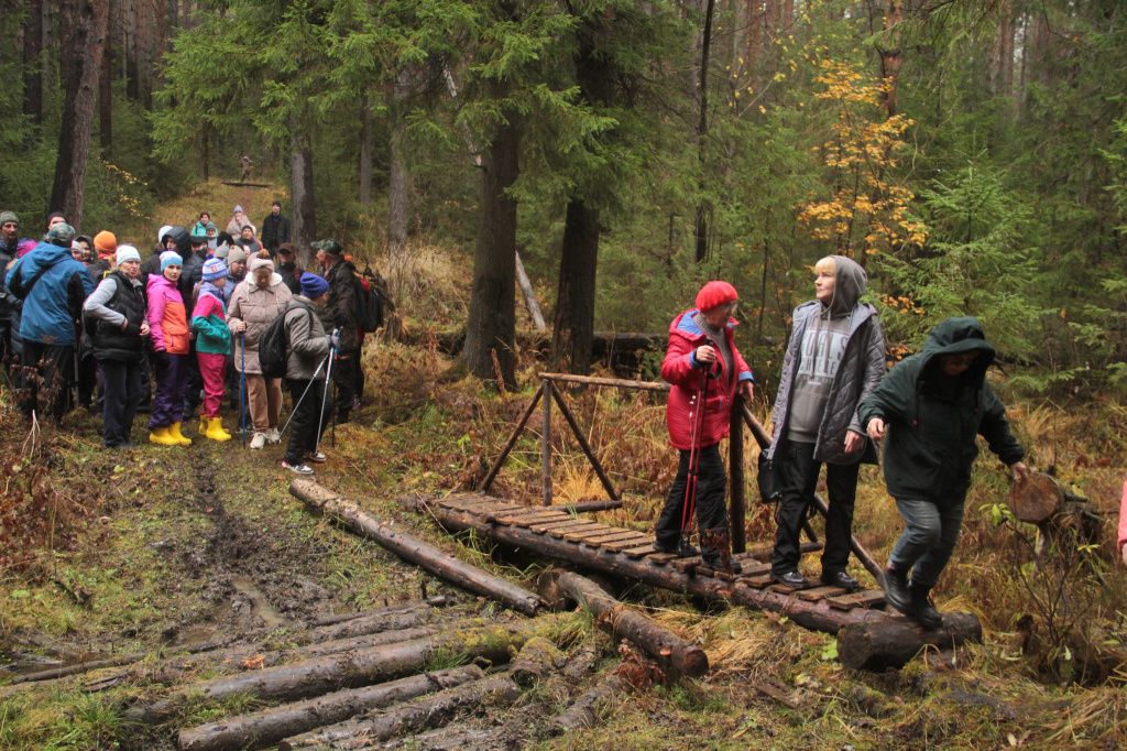 Возле моста группа разделилась. Одни пошли по размеченнйо прогулочной тропе. Другие - по оврагу с ручьем. Фото: Константин Бобылев, "Глобус"
