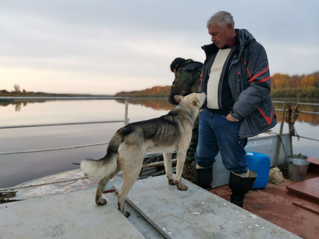 Валерий Иванович и любопытная собака из Пуксинки. Фото: Константин Бобылев, "Глобус"