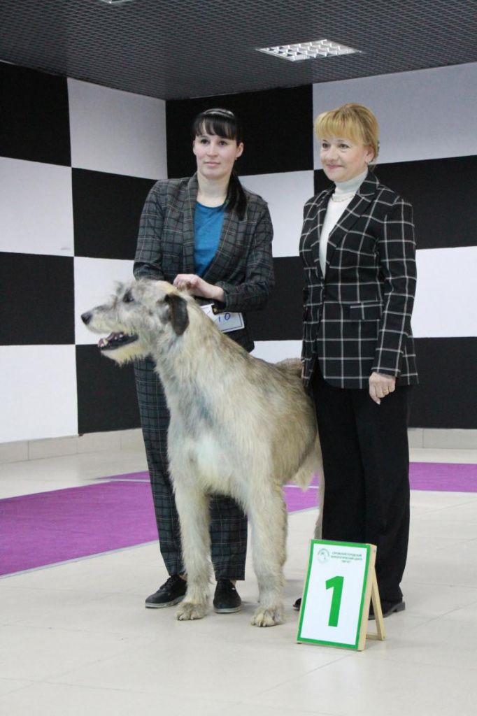 Алина Ракова (слева), Китай и судья Инесса Родина. Фото: Константин Бобылев, "Глобус"