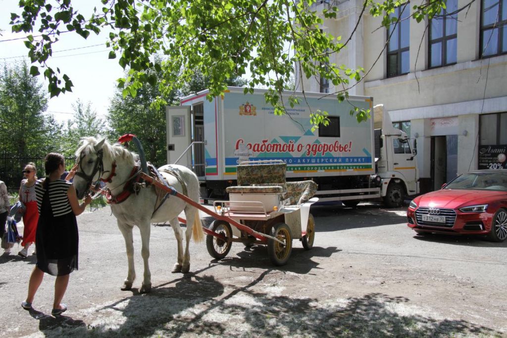 На празднике можно было вакцинироваться от коронавируса и покататься на лошадке. Фото: Константин Бобылев, "Глобус"