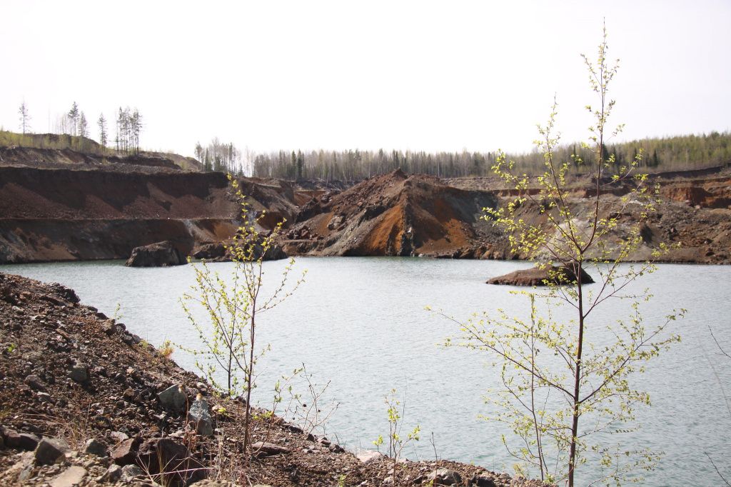 Карьер Серовского рудника постепенно заполняется водой, а его берега обрастают - лесом и мусором. Фото: Константин Бобылев, "Глобус"
