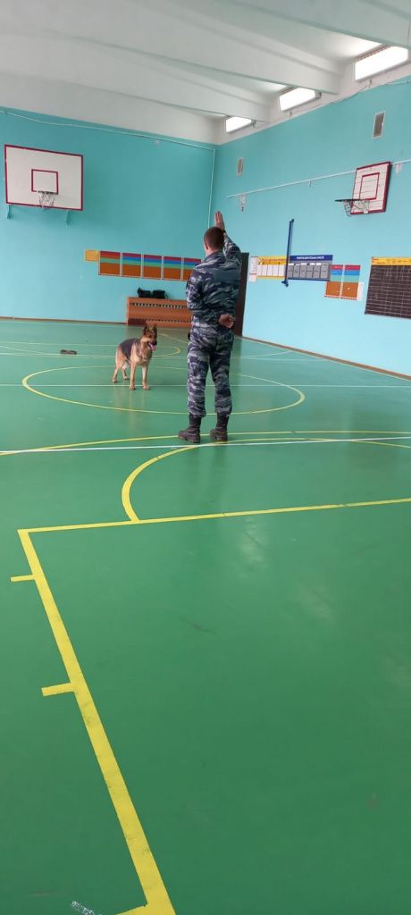 Воспитанники СШИ встретились с кинологами и их собаками. Фото: полиция Серова