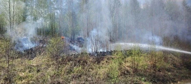 Директор Серовского лесничества отметил, что большинство природных пожаров происходит из-за халатности людей. Фото: Михаил Киселев