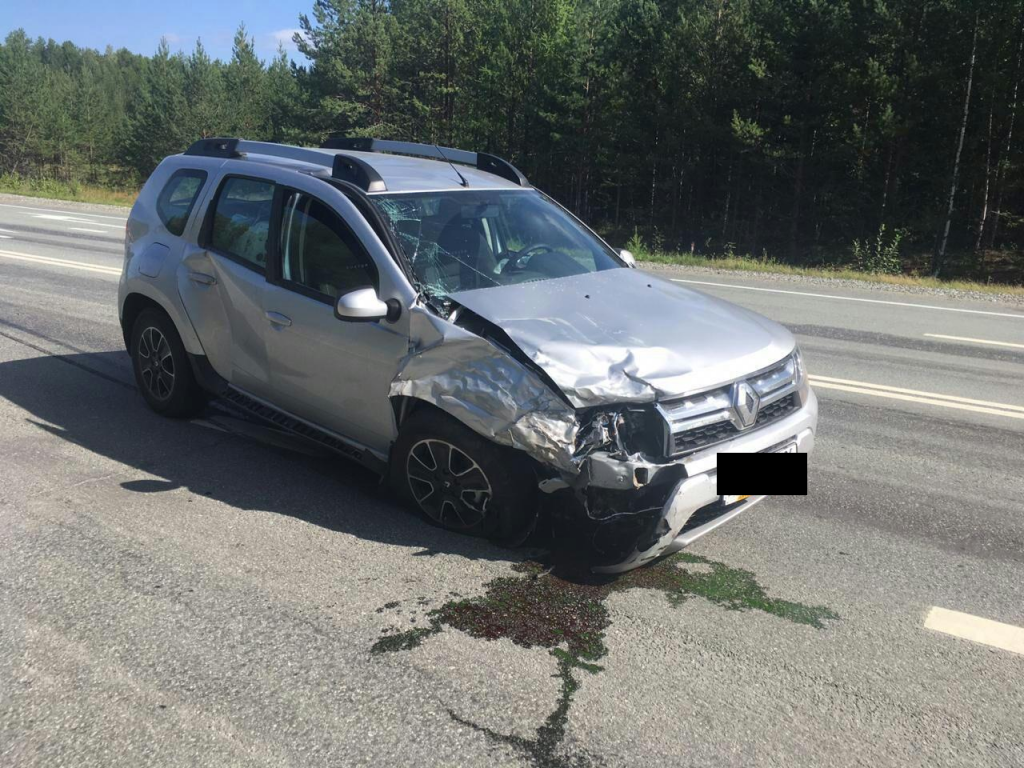 Renault Duster получил механические повреждения. Фото: ГИБДД Серова