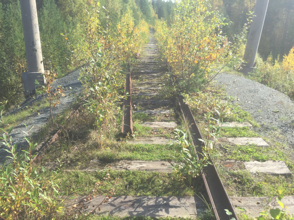 Сережа шел по заброшенной дороге впр ответы. Смоленская ГРЭС железная дорога. Брошенные железные дороги в Кировской области. Брошенная железная дорога в лесу. Валутино Сошно Железнодорожная линия.