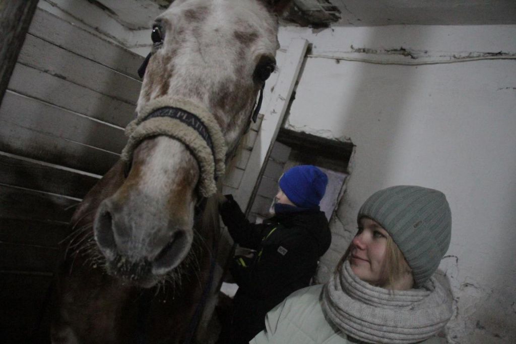 На практических занятиях ребята учатся не только верховой езде, но и уходу за животными. Фото: Константин Бобылев, "Глобус" На практических занятиях ребята учатся не толкьо верховой езде, но и уходу за животными. Фото: Константин Бобылев, "Глобус"