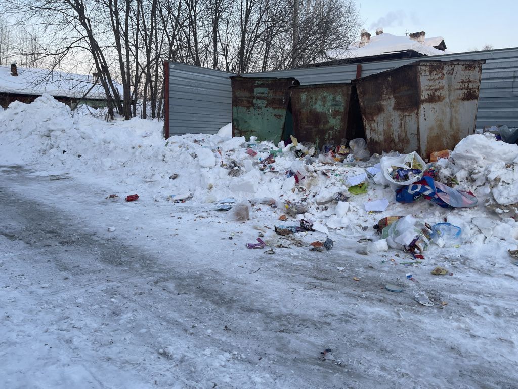 Мусор вывезли, а контейнерную площадку не прибрали. Фото: Анна Куприянова, "Глобус"