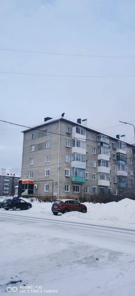 Мужчина вышел на крышу дома №13 по улице Каляева. По словам очевидцев, чердак был не закрыт. Фото предоставлено читателем "Глобуса", попросившим не называть своего имени в СМИ
