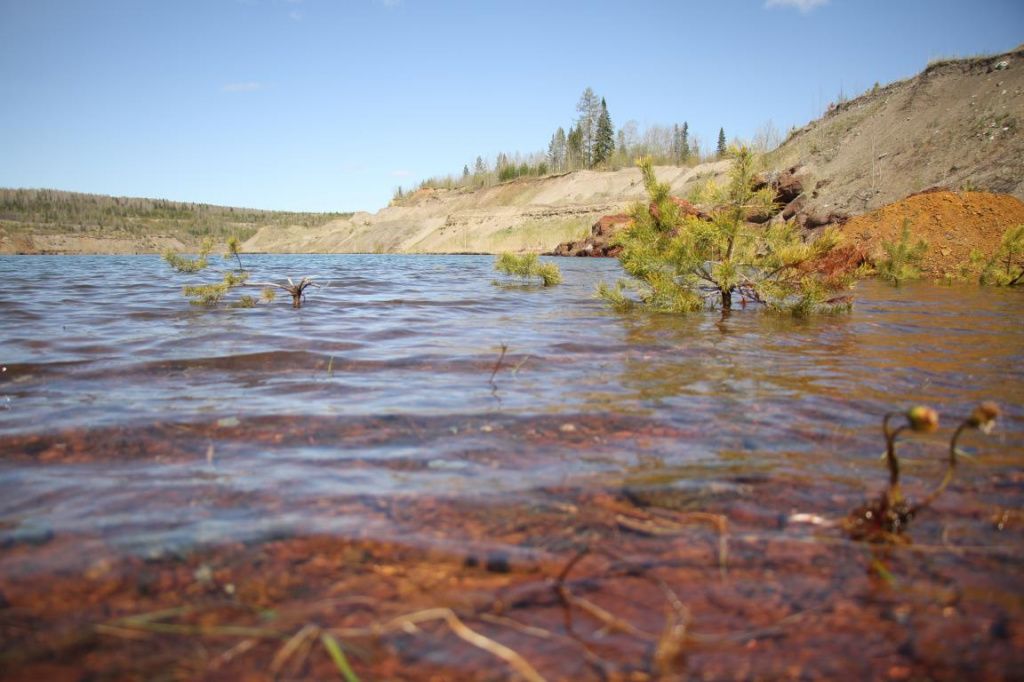 Со временем карьер может стать излюбленным место отдыха для горожан. Фото: Константин Бобылев, "Глобус"
