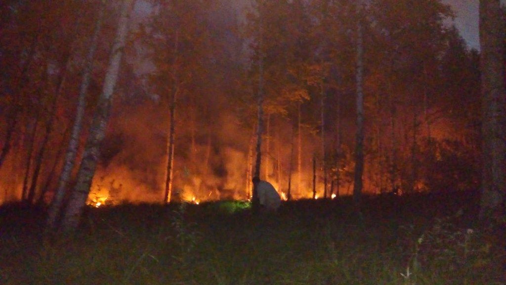 В Серовском лесничестве отмечают, что большинство ландшафтных пожаров в 2021 году произошло по вине людей. Фото предоставлено Серовским лесничеством