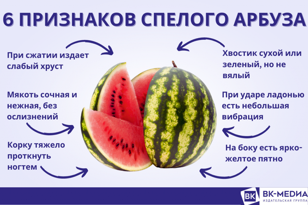 Как выбрать арбуз по внешнему виду. Лучший Арбуз. Арбуз неравномерно сладкий. Идеальная дыня.