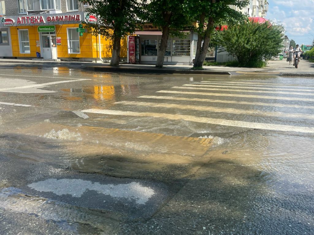 Фото: Анна Куприянова, "Глобус"